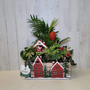 Composición Plantas casa madera -Navidad